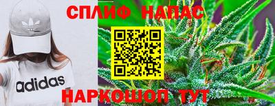 СК Лениногорск