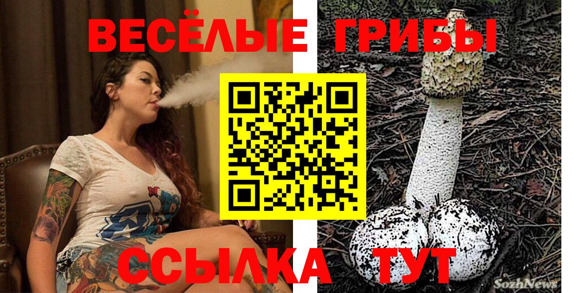 Псков  Псилоцибиновые грибы Psilocybe  Вход с VPN 